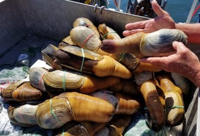 WhatsApp Image 2025-12-24 at 5.39.07 AM WhatsApp Image 2025-12-24 at 5.39.07 AM